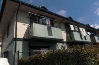 東京都三鷹市野崎4(一戸建)の賃貸物件の外観