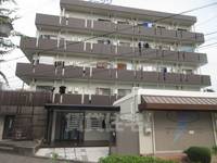 林泉第7ビルの外観