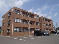 グレイスコートの外観