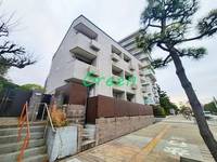 神奈川県平塚市袖ケ浜(アパート)の賃貸物件の外観