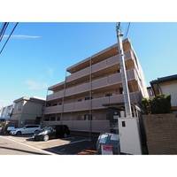 新潟県新潟市中央区近江2(マンション)の賃貸物件の外観