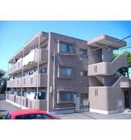 栃木県栃木市泉町(マンション)の賃貸物件の外観