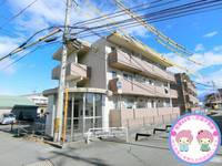 長野県長野市大字稲葉(マンション)の賃貸物件の外観