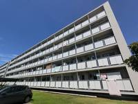 千葉県千葉市美浜区真砂2(マンション)の賃貸物件の外観