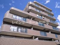 千葉県柏市あけぼの3(マンション)の賃貸物件の外観