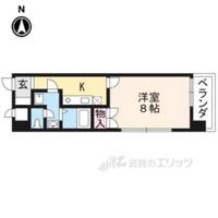 メゾン・ヴィーナスの間取り