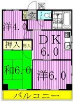 コーポ川間の間取り