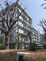 百合丘ハイコーポB棟の外観