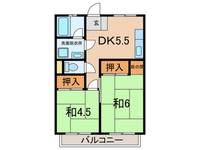 梅田マンションの間取り
