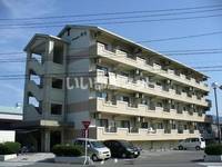 広島県三原市皆実4(マンション)の賃貸物件の外観