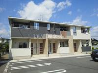 プラシード・Tの外観