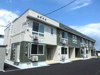 マスカット ベリー Bの外観
