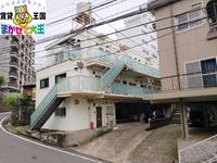 ハイツドミールの外観写真