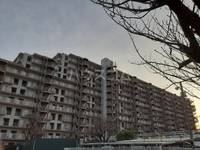 シティパラス柏の外観