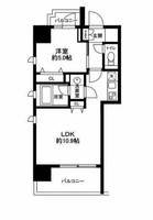 東京都港区南麻布2(マンション)の賃貸物件の間取り