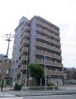 インフィルドハイツIIの外観