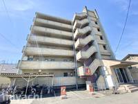 徳島県徳島市住吉4(マンション)の賃貸物件の外観