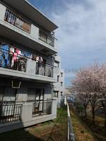エクセレンス長峰の外観