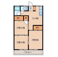 第5メゾン半九の間取り