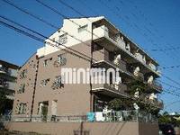 ルミナスパルビラの外観