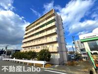 徳島県徳島市川内町金岡(マンション)の賃貸物件の外観