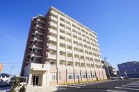 埼玉県白岡市新白岡7(マンション)の賃貸物件の外観