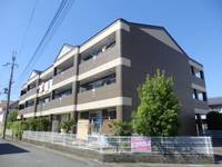 滋賀県守山市守山6(マンション)の賃貸物件の外観