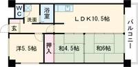 新潟県新潟市江南区亀田本町1(マンション)の賃貸物件の間取り