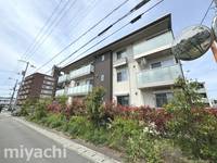 徳島県徳島市西新浜町1(マンション)の賃貸物件の外観