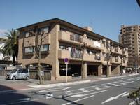 カスティーリョ一番丁の外観