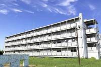 埼玉県深谷市田谷(マンション)の賃貸物件の外観