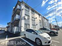 徳島県徳島市北沖洲4(マンション)の賃貸物件の外観