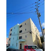 シグナスの外観