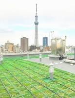 東京都江東区亀戸4(マンション)の賃貸物件の外観