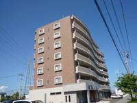 宮城県仙台市宮城野区新田東5(マンション)の賃貸物件の外観
