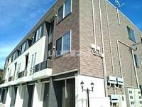 クリスマス ローズ Bの外観