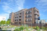 ピコット5の外観