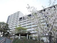 東京都北区西ケ原4(マンション)の賃貸物件の外観