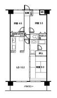 埼玉県戸田市大字新曽(マンション)の賃貸物件の間取り