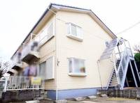 ルイコテサシの外観