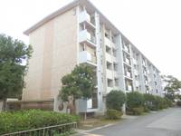 滋賀県守山市浮気町(マンション)の賃貸物件の外観