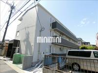 プルメリアの外観