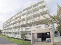 アルビス寺本3号棟の外観