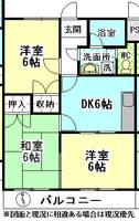 東京都三鷹市新川3(マンション)の賃貸物件の間取り