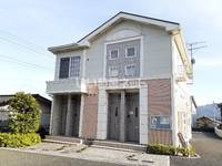 クリスマスローズの外観