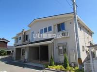 ヴィオラ IIIの外観