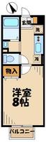 マメゾンASUKA2の間取り
