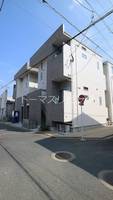 CB和白ヒナタの外観