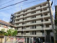 スカイルナの外観