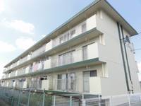 静岡県浜松市中央区根洗町(マンション)の賃貸物件の外観